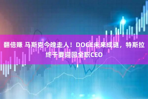 翻倍赚 马斯克今晚走人！DOGE未来成谜，特斯拉终于要迎回全职CEO