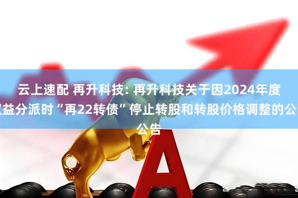 云上速配 再升科技: 再升科技关于因2024年度权益分派时“再22转债”停止转股和转股价格调整的公告