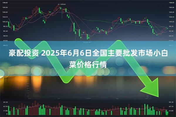 豪配投资 2025年6月6日全国主要批发市场小白菜价格行情
