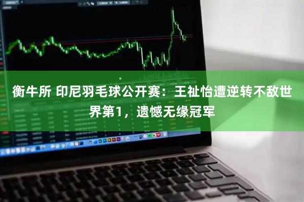 衡牛所 印尼羽毛球公开赛：王祉怡遭逆转不敌世界第1，遗憾无缘冠军