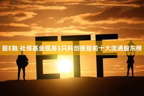 股E融 社保基金现身3只科创板股前十大流通股东榜