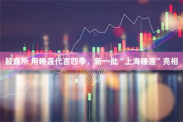 股鑫所 用睡莲代言四季，新一批“上海睡莲”亮相