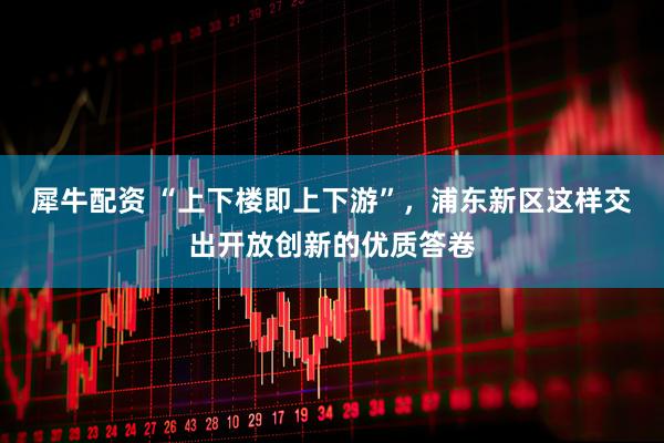 犀牛配资 “上下楼即上下游”，浦东新区这样交出开放创新的优质答卷