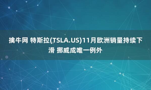 擒牛网 特斯拉(TSLA.US)11月欧洲销量持续下滑 挪威成唯一例外