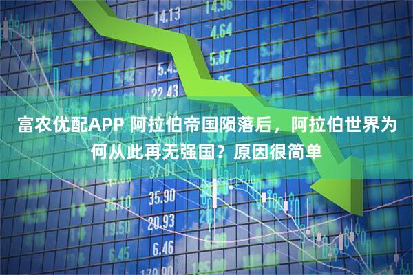 富农优配APP 阿拉伯帝国陨落后，阿拉伯世界为何从此再无强国？原因很简单