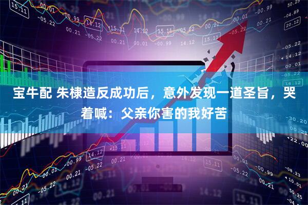 宝牛配 朱棣造反成功后，意外发现一道圣旨，哭着喊：父亲你害的我好苦