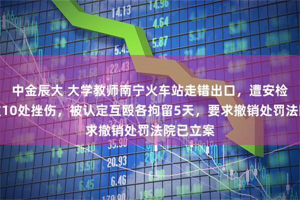 中金辰大 大学教师南宁火车站走错出口，遭安检员追打致10处挫伤，被认定互殴各拘留5天，要求撤销处罚法院已立案